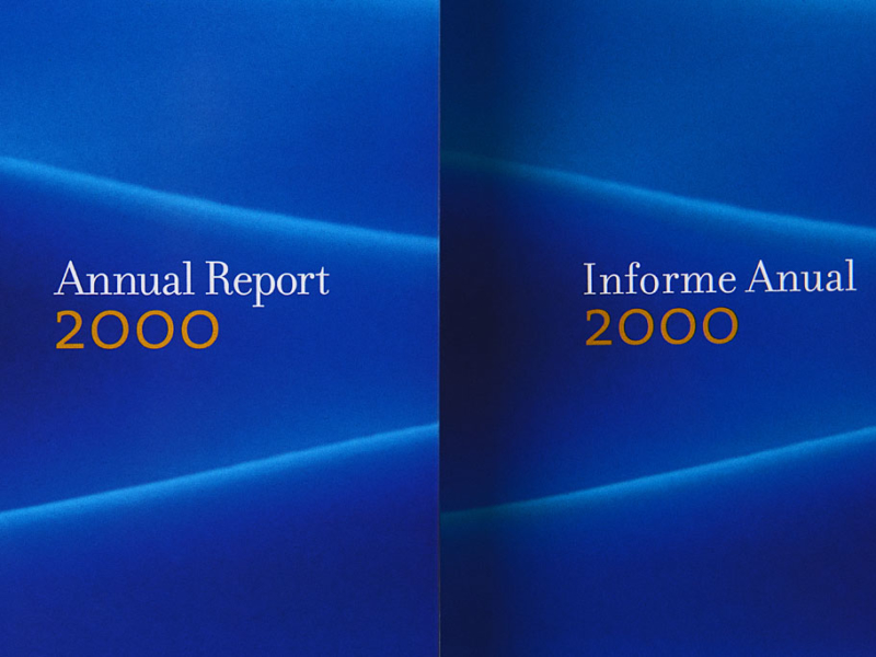 Iberdrola Annual Report