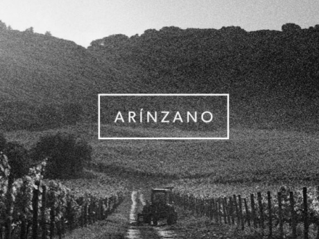 Web Señorío de Arínzano